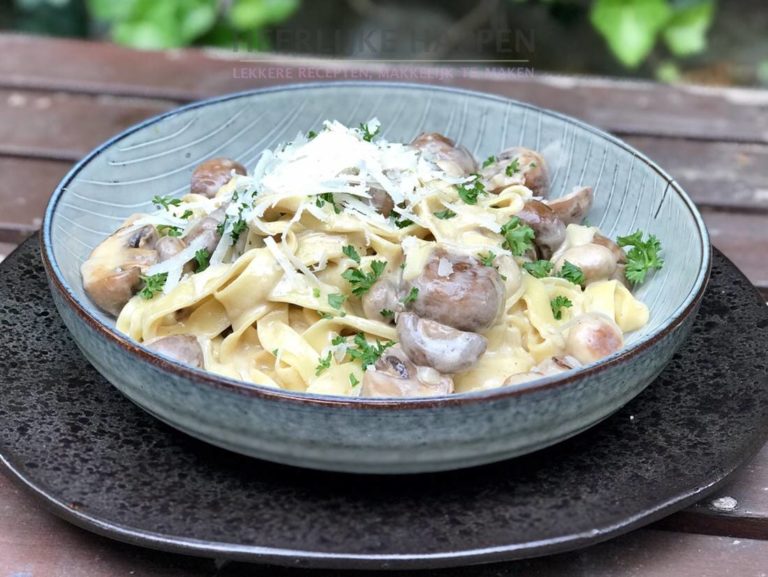 Verse Pasta Met Romige Champignonsaus Heerlijke Happen