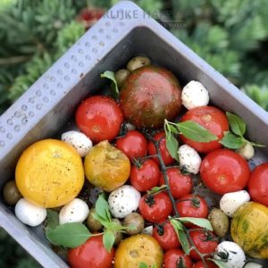 Geroosterde tomaten van de BBQ