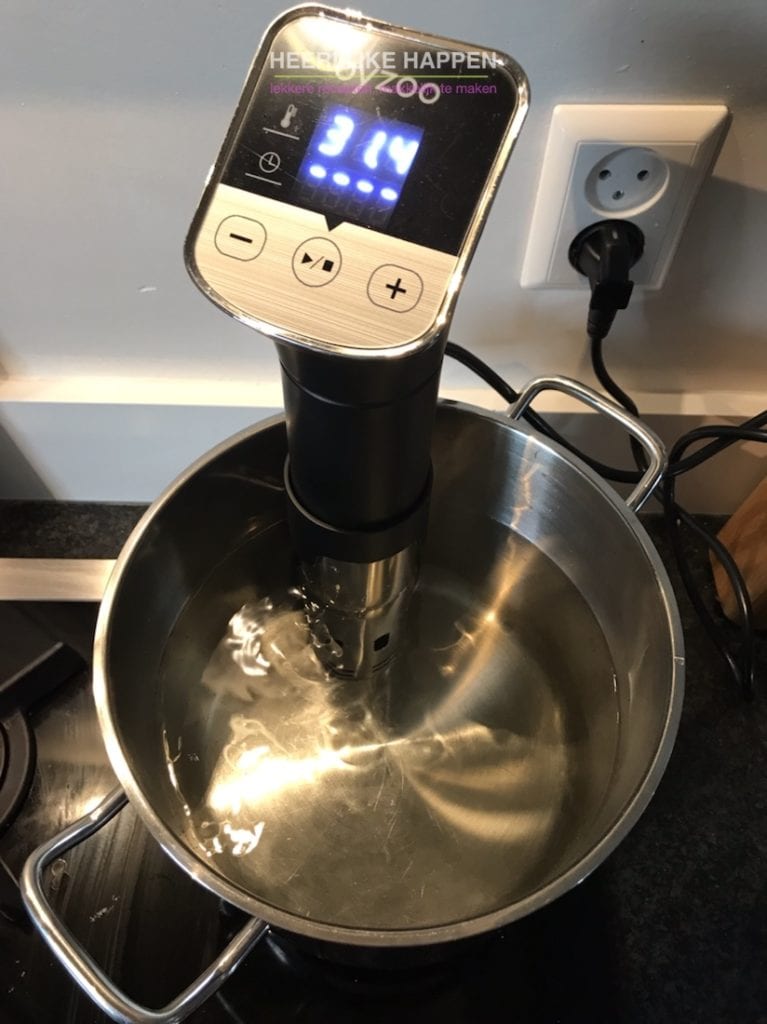 Product review Byzoo sousvide stick