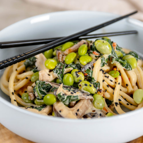 Miso noodles with soy beans